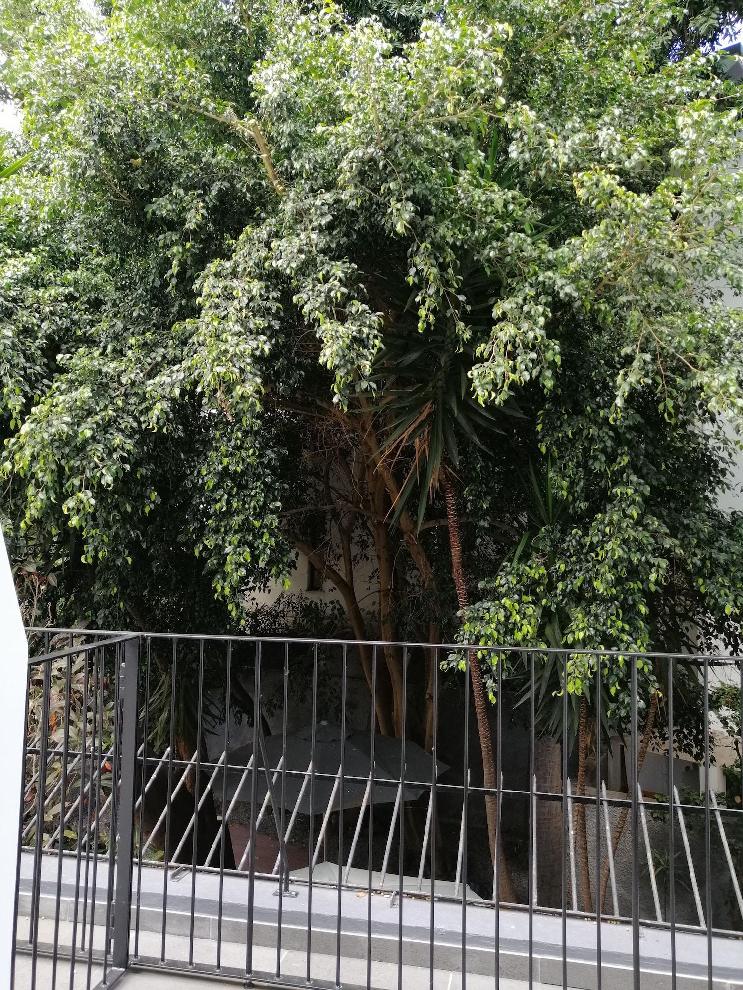 Hotel Do Carmo Funchal  Exterior photo